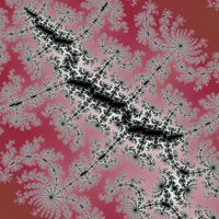 Mandelbrot Bacteria Infection